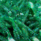 Ultimate Dimebag OTR. 100 pack Grubs.